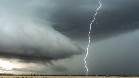 Lightning Strike Risks: Giraffe Deaths and Other Tips to Save your Life 