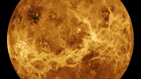 The Search for Life on Venus and Other Places in Our Solar System