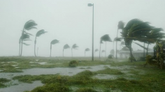 The 2020 Hurricane Season: What We've Seen and What's to Come