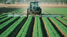 EPA Denies Chlorpyrifos Pesticide Capacity to Affect Child Brain Development