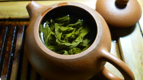 The Beauty and Beast of Green Tea: What are its Advantages and Disadvantages?