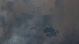 Record Breaking Fires and Drought Ravage South America