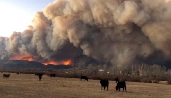 Colorado Wildfires: Snow hits Cameron Peak, Fire Advances to East Side of Rocky Mountain National Park