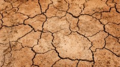 Billions of Tons Carbon in Soil will be Released if Global Warming Reaches 2 Degrees