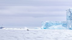 The A68 Iceberg may Soon Collide with the South Georgia