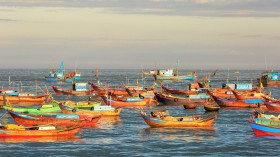 Scientist Predicts the Future of Fishing Industry as Artisanal, Leaving Behind Large Industrial Fishing Fleets