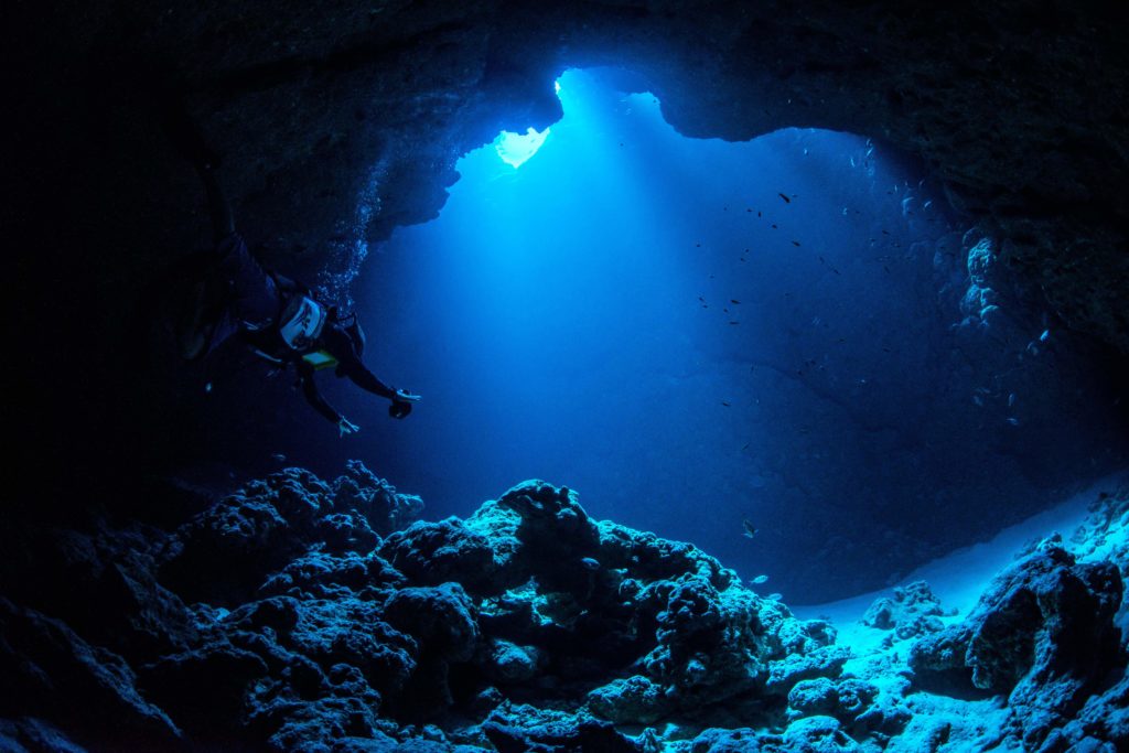 how-we-found-world-s-deepest-fish-in-the-mariana-trench-and-why-we