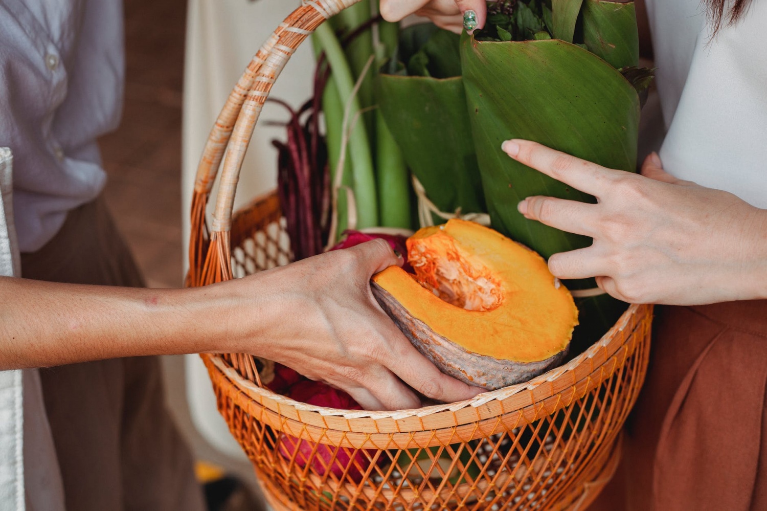 bringing-back-beans-corn-squash-and-sunflowers-to-native-american