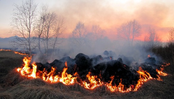 Air Pollution from Stubble Burning Continue to Plague Northern India