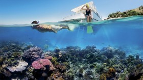 Great Barrier Reef : IUCN Status Now 