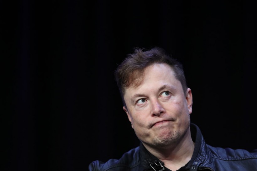 Elon Musk's Tesla Model Y Sets to Destroy Over 100 Acres of Forest Land 