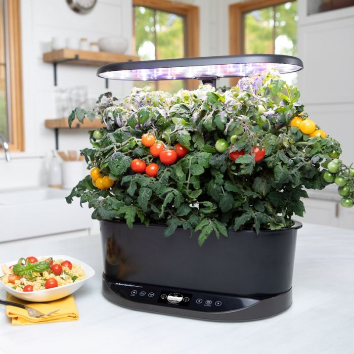 Investing in an Aerogarden: important considerations to make
