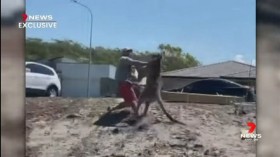 Mitchell Robinson vs Kangaroo