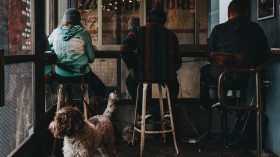 Dog in a Cafe