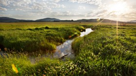  Partners for Fish and Wildlife Program's 