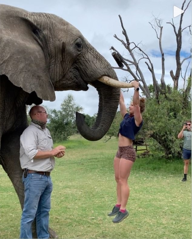 Emma Roberts doing a pull-up on an African Elephant