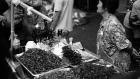 Woman selling insects from a street-food stand