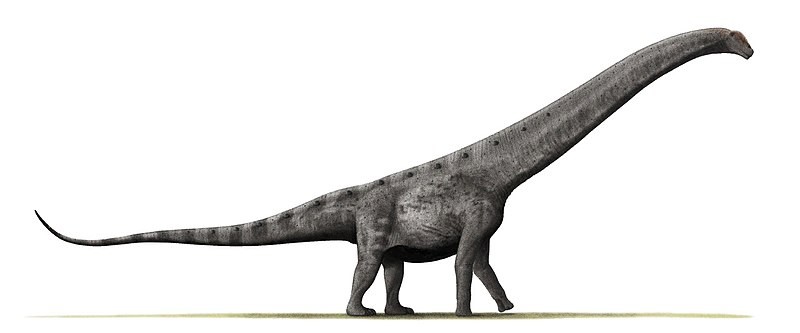 Argentinosaurus 