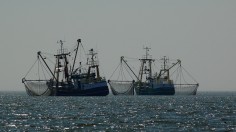 Fishing Vessels