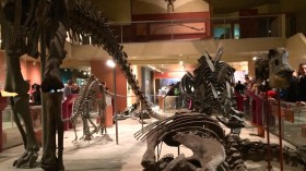 Smithsonian Dinosaur Hall