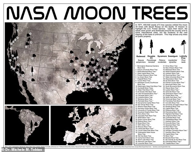 Moon Trees Map