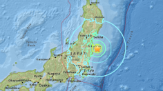 Fukushima Earthquake Shake map