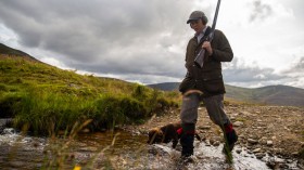 Grouse-Hunting Season Starts In Scotland