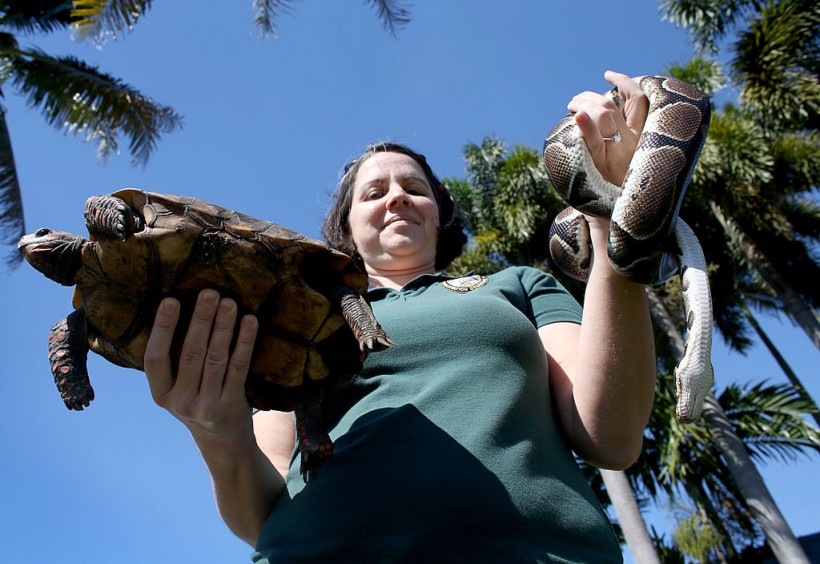 Florida Officials Hold Exotic Pet Amnesty Opportunity