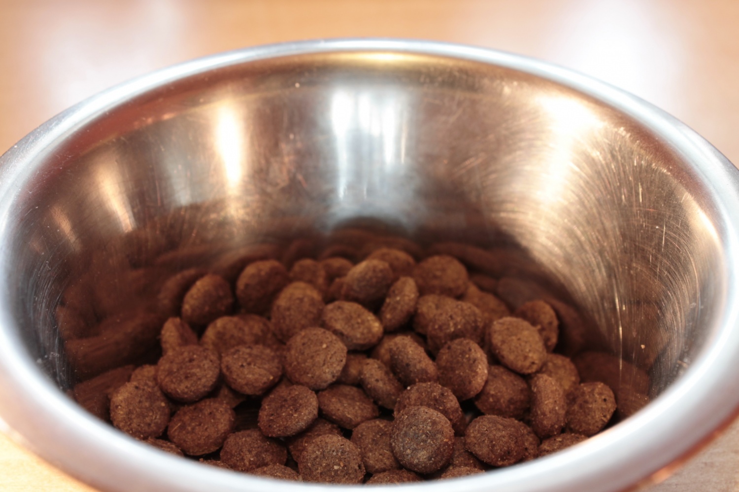 Company Forced to Recall Pet Food After Testing Positive of Salmonella