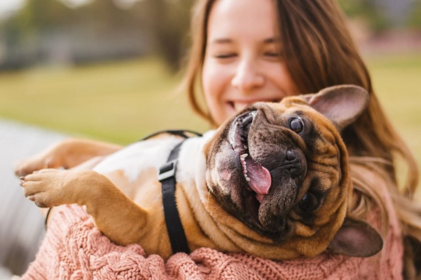7 Ways To Keep Your Pet Happy