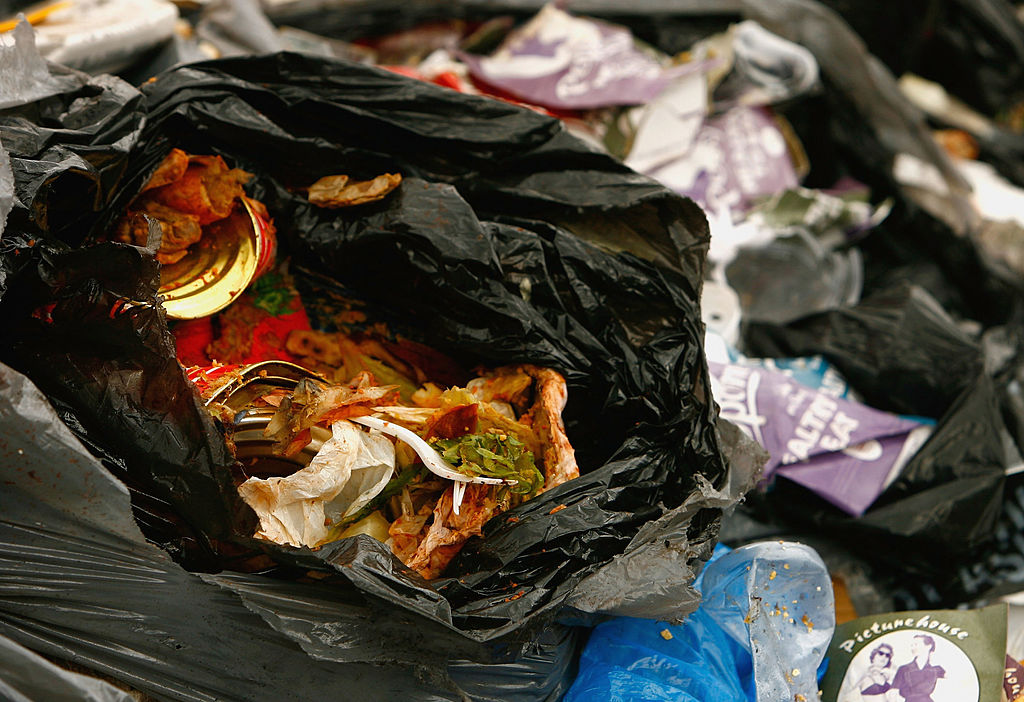 Trash to Gold: Another Solution to Combat Pollution