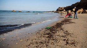 Cleanup Effort After Suspected Oil Spill Off Israel's Coast