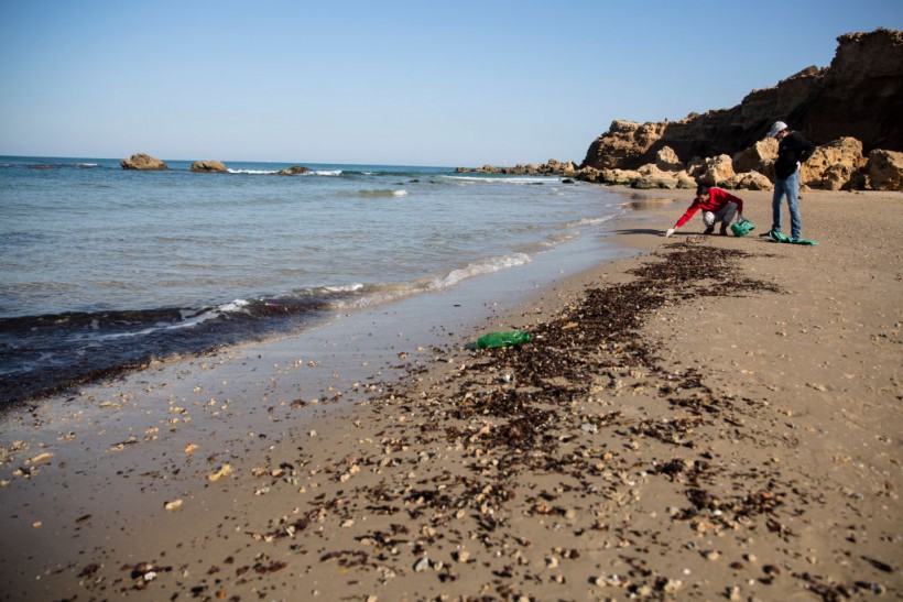 Cleanup Effort After Suspected Oil Spill Off Israel's Coast