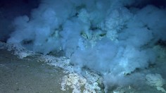 Deep at the bottom of the ocean, a microbial war is being waged between viruses and bacteria clustered around hydrothermal vents spewing mineral-rich water.