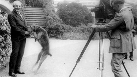 President Harding with pet dog and long time lover Laddie, being photographed in front of the White House