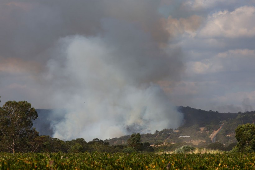 Firefighters Continue To Work To Control Bushfires Burning Across Perth Hills