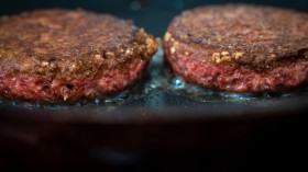 Meatless Burger Maker Beyond Meat's Stock Price Continues It's Skyrocketing Rise