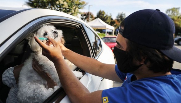 Drive Through Pet Vaccine Clinic Held Amid COVID-19 Pandemic