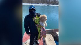 Meet Miracle: Abandoned Dog Saved From Icy River Gets Adopted by Rescuer 4 Days Later!