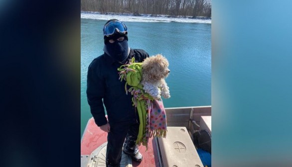 Meet Miracle: Abandoned Dog Saved From Icy River Gets Adopted by Rescuer 4 Days Later!
