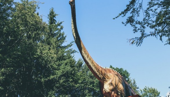 Long-necked dinosaur