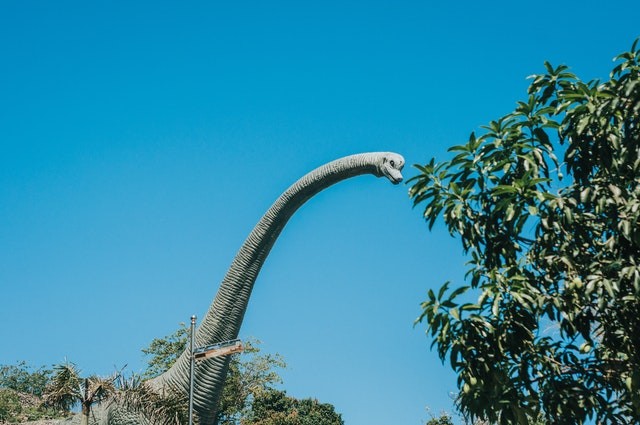 Long-necked dinosaur
