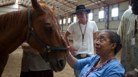 Alzheimer's patients receive equine therapy at the Field of Dreams Equine Education Center in Blacklick, Ohio