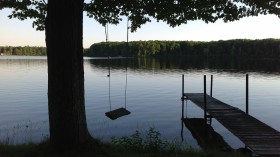 Swing Lake Nature