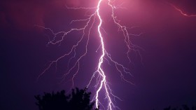 Thunderstorm Purple