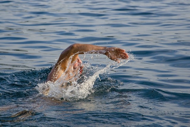 Swimmers are more likely to be stung
