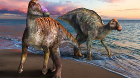 Duckbilled Dinosaur Fossils Discovered to be from a New Genus And Species