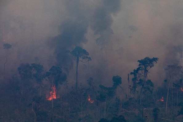 Transformation of amazon rainforest due to climate change and deforestation