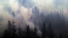Manter Fire Burns Sequoia National Forest