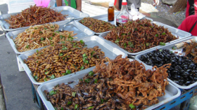 Insect Stall